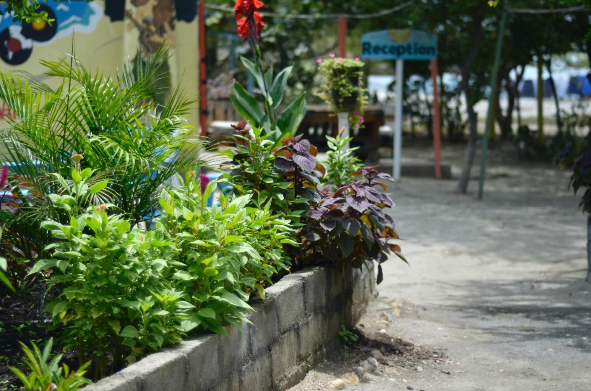 Playa Del Ritmo Beach Hostel & Bar - Adults Only ซันตามาร์ตา ภายนอก รูปภาพ