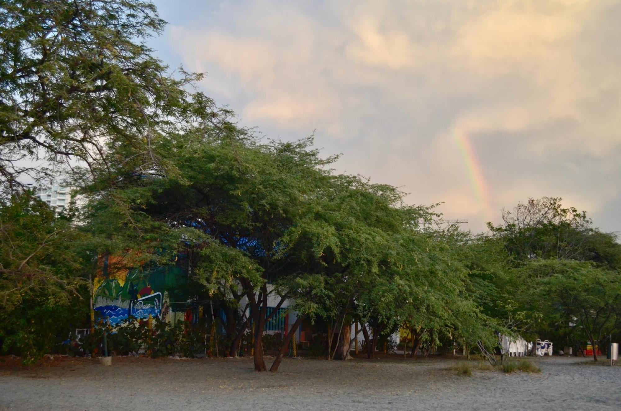 Playa Del Ritmo Beach Hostel & Bar - Adults Only ซันตามาร์ตา ภายนอก รูปภาพ